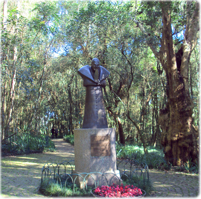 Bosque Papa