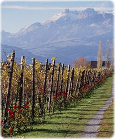 Vaduz Liechtenstein