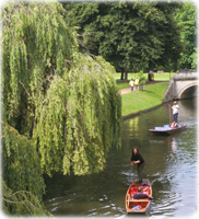 Passeio Cambridge