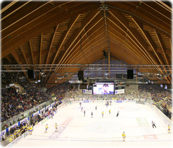 Arena