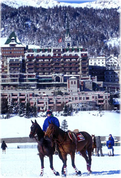 Cavalos