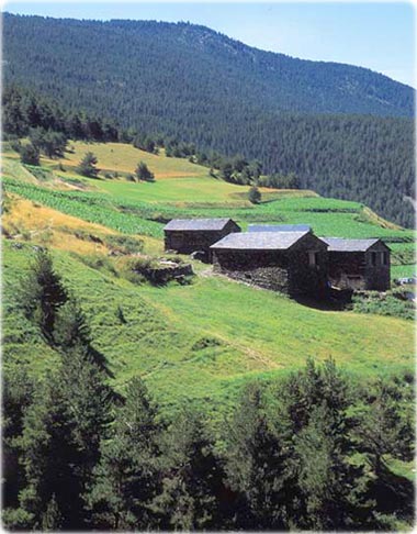 Bordas de la Peguera