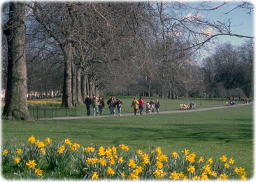 Saint James Park